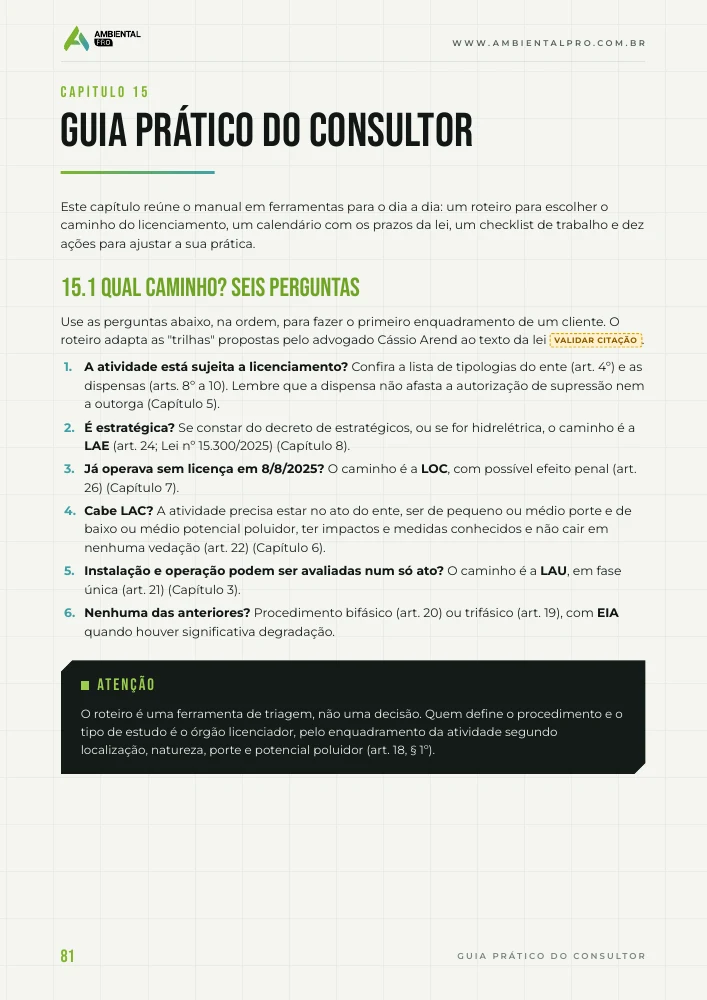 Guia prático do consultor